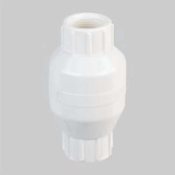 Mueller/ B&K ProLine Threaded PVC Check Valve, Case of 6