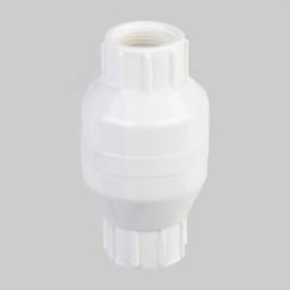 Mueller/ B&K ProLine Threaded PVC Check Valve - Pack of 4 Bulk Trade Pack