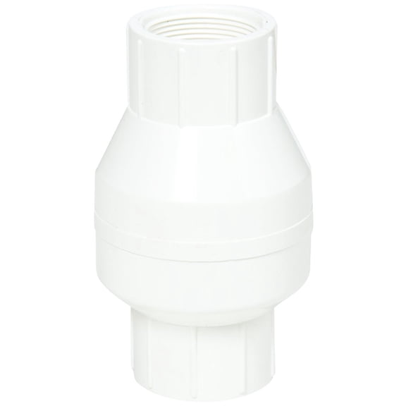 Mueller/ B&K ProLine Threaded PVC Check Valve - Pack of 6