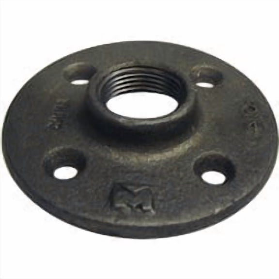 Mueller/ B&K Southland Black Iron Floor Flange, Case of 2