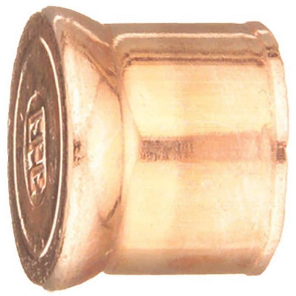 Mueller Industries A 61529 .75 in. Copper End Plug