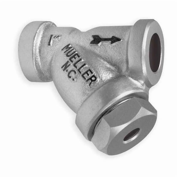 Y Strainer, 1" Pipe, Socket Weld, Cast Carbon Steel