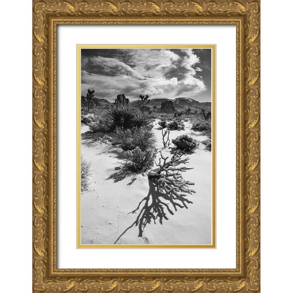 Muench, Zandria 11x14 Gold Ornate Wood Framed with Double Matting Museum Art Print Titled - Winter storm-Joshua Tree National Park-California