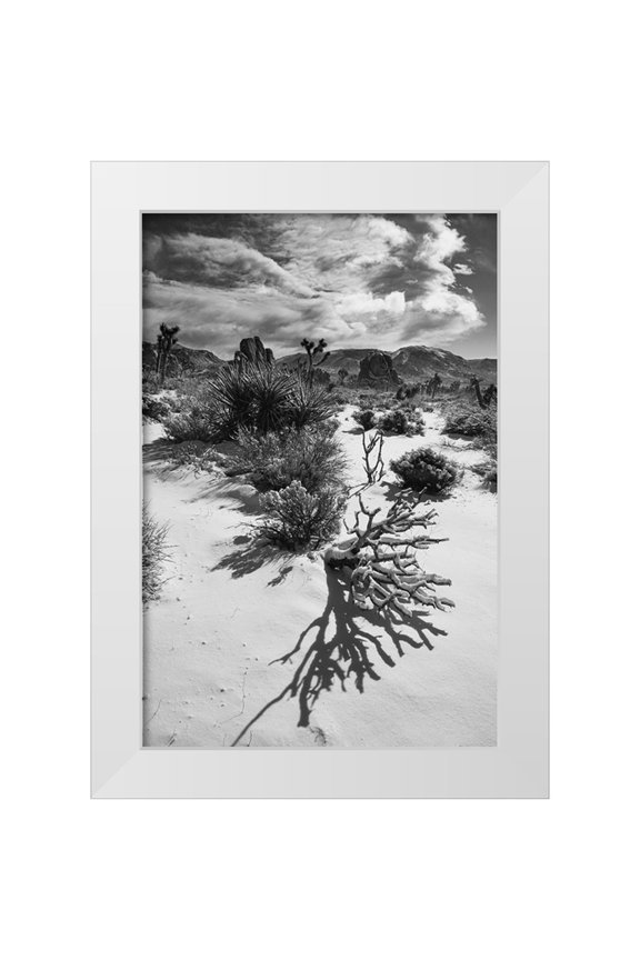 Muench, Zandria 11x14 White Modern Wood Framed Museum Art Print Titled - Winter storm-Joshua Tree National Park-California