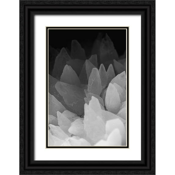Muench, Zandria 13x18 Black Ornate Wood Framed with Double Matting Museum Art Print Titled - Rose Quartz