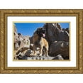thumbnail image 1 of Muench, Zandria 14x11 Gold Ornate Wood Framed with Double Matting Museum Art Print Titled - Leonberger waiting for the mail, 1 of 4