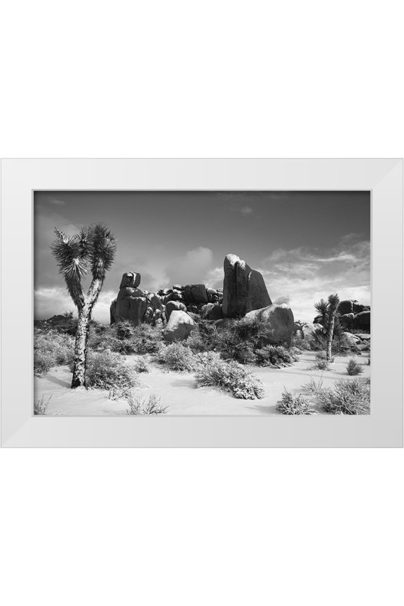 Muench, Zandria 14x11 White Modern Wood Framed Museum Art Print Titled - Winter storm-Joshua Tree National Park-California