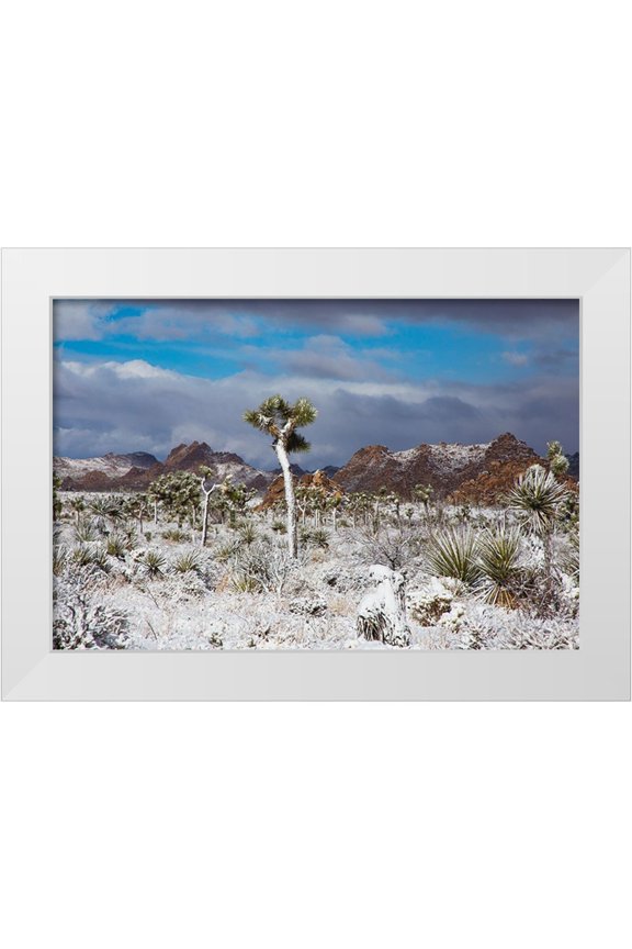 Muench, Zandria 14x11 White Modern Wood Framed Museum Art Print Titled - Winter storm-Joshua Tree National Park-California