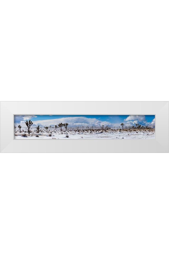 Muench, Zandria 14x6 White Modern Wood Framed Museum Art Print Titled - Winter storm-Joshua Tree National Park-California