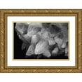 thumbnail image 1 of Muench, Zandria 18x13 Gold Ornate Wood Framed with Double Matting Museum Art Print Titled - Rose Quartz, 1 of 4