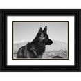 thumbnail image 1 of Muench, Zandria 24x17 Black Ornate Wood Framed with Double Matting Museum Art Print Titled - German Shepherd in the Coachella Valley-California, 1 of 4