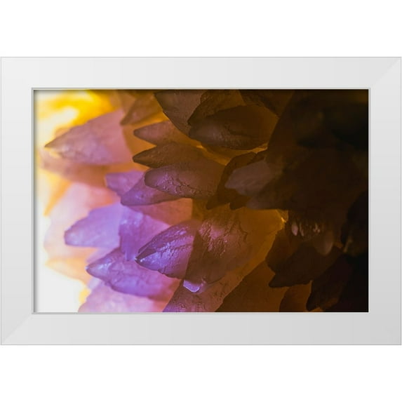 Muench, Zandria 24x17 White Modern Wood Framed Museum Art Print Titled - Rose Quartz