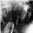 thumbnail image 1 of Muff - Muff - Music & Performance - CD, 1 of 1