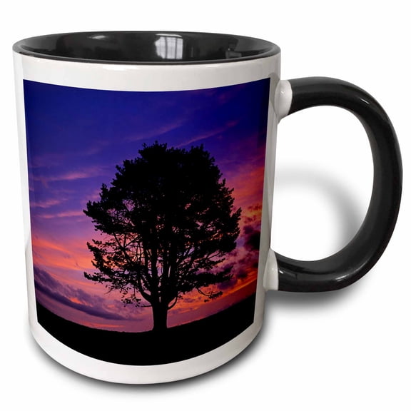 3drose, Mugo Pine Tree, Sunset, Switzerland - Eu29 Rnu0040 - Rolf Nussbaumer, 11oz Two-tone Black Mug