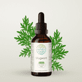 thumbnail image 1 of HerbEra Mugwort Tincture, Herbal Dietary Supplement for Women’s Health Support, Mugwort (Artemisia vulgaris) Dried Herb Extract, Natural, Alcohol-Free, Drops 2 oz, 1 of 8