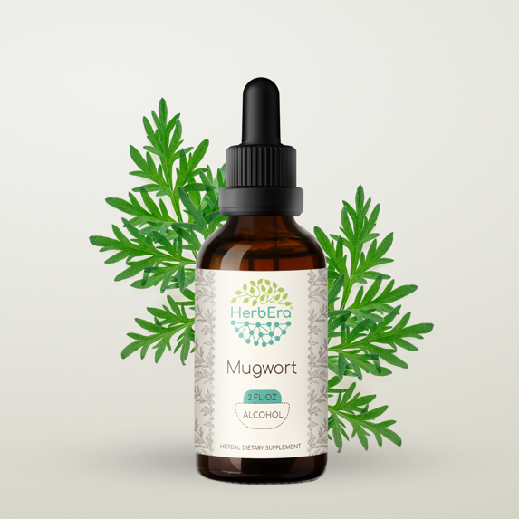 Mugwort Alcohol Herbal Extract Tincture, Super-Concentrated Organic Mugwort (Artemisia vulgaris) Dried Herb 2 oz
