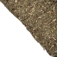 thumbnail image 1 of Mugwort | Organic, Bulk Size 4 oz | Tree Fifty Four, 1 of 3