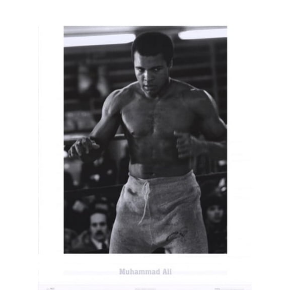 Muhammad Ali - Champ Poster (24 x 32)
