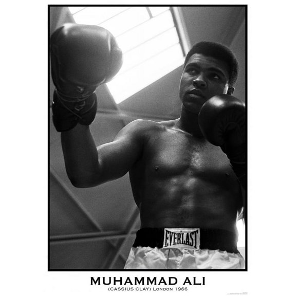 Muhammad Ali Gloves Poster (36 x 24)