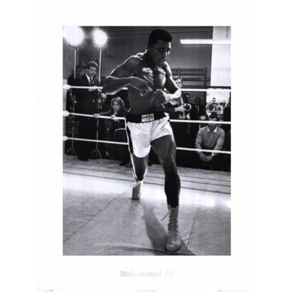 Muhammad Ali - Training Poster (24 x 32)
