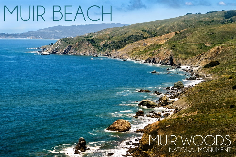 Muir Woods National Monument, California, Muir Beach Day Scene ...