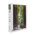 thumbnail image 1 of Muir Woods National Monument, California, Pathway (19x27 inches, Premium 500 Piece Jigsaw Puzzle for Adults and Family, Made in USA), 1 of 4