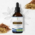thumbnail image 1 of Secrets Of The Tribe Muira Puama and Catuaba Dietary Supplement, Natural Herbal Tincture for Energy Support, Muira Puama (Ptychopetalum olacoides) and Catuaba Dried Bark, Alcohol-Free Extract, 4 oz, 1 of 7
