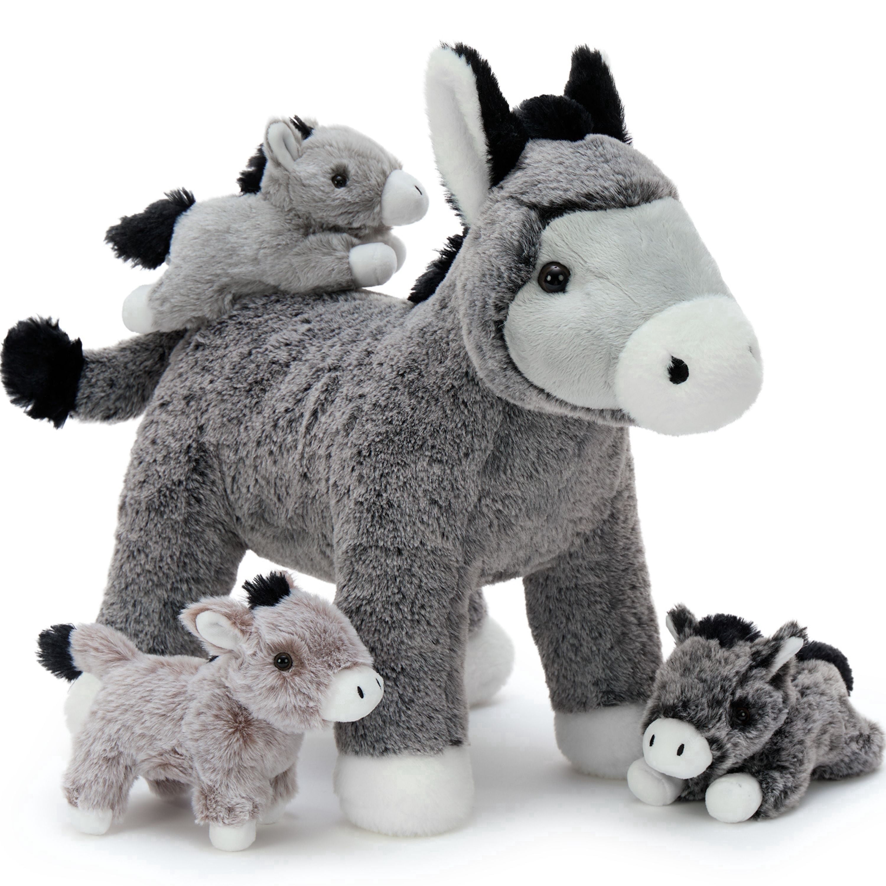 Gray-Donkey