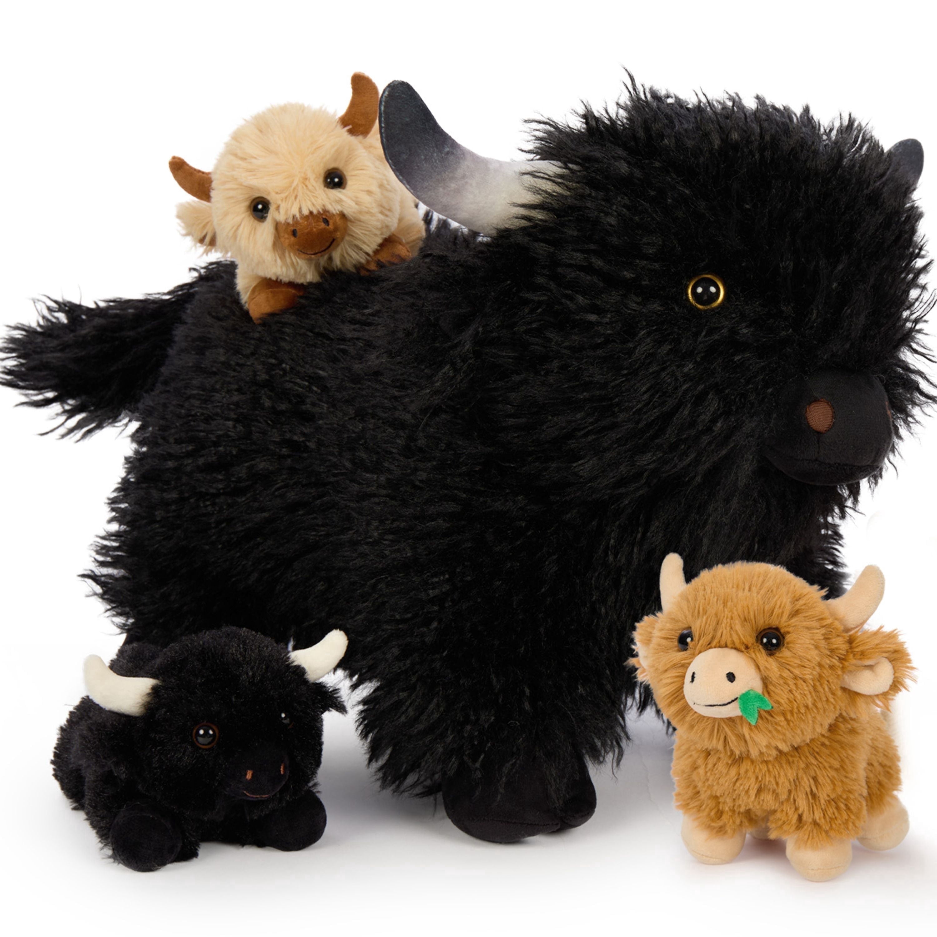 Black-HighlandCow