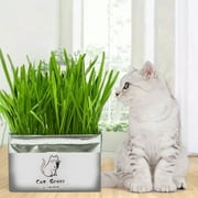 Mulanimo Pet Cat Grass Soilless Hydroponic Seed Growing for Oral Cavity Cleaning