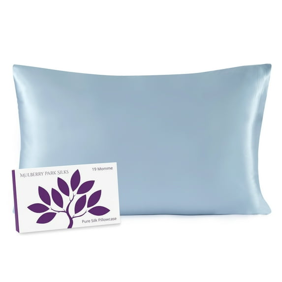 Mulberry Park 19 Momme 100% Silk Pillowcase for Hair and Skin - Queen 20" x 30", Envelope Closure, Blue