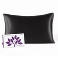 thumbnail image 1 of Mulberry Park 19 Momme 100% Silk Pillowcase for Hair and Skin – Standard 20" x 26", Zipper Closure, Black, 1 of 10