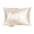 thumbnail image 1 of Mulberry Silk Pillowcases, Standard Size with Hidden Zipper - Hypoallergenic and Breathable 25.98x20.08in, 1 of 2