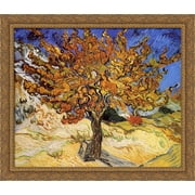 Mulberry Tree 32x28 Large Gold Ornate Wood Framed Canvas Art by Vincent van Gogh