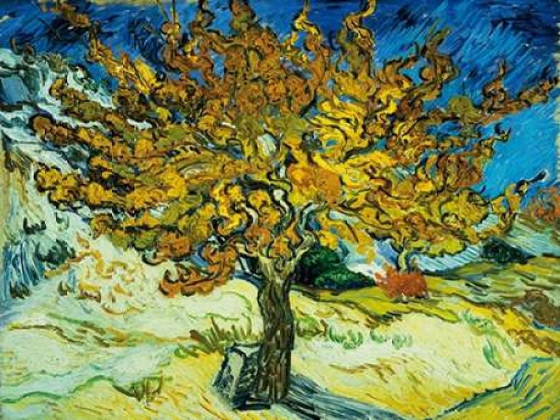 Mulberry Tree Canvas Art - Vincent Van Gogh (22 x 28)