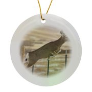 3drose, Mule Deer, Adel Mountains, Cascade, Montana - Us27 Cha1846 - Chuck Haney, Circle Porcelain Ornament