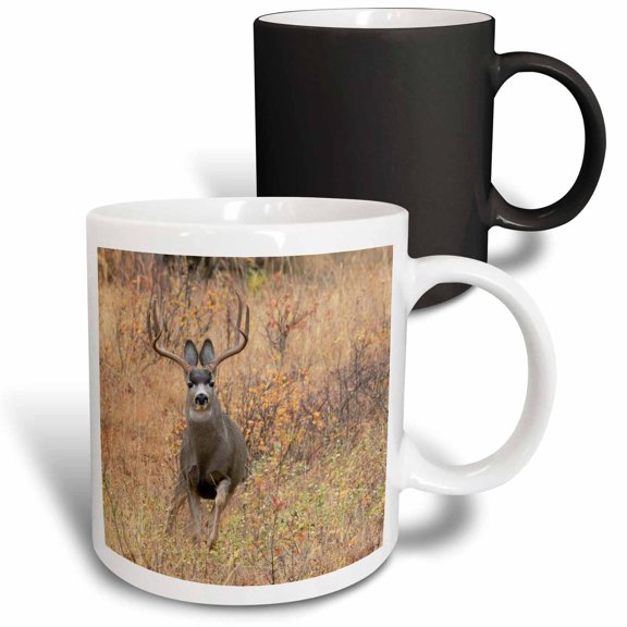 3drose, Mule Deer Buck Escaping Danger, 11oz Magic Transforming Mug