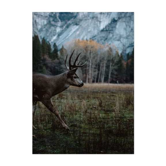Mule Deer Majestic Stroll - Yosemite Valley California Photography Wildlife Nature Woodland Scenic Wilderness Autumn Unframed Wall Art Print 4 x 6 inches