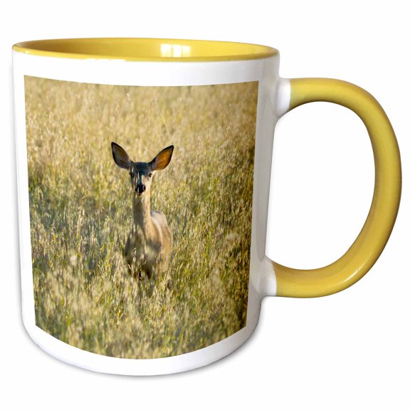 3drose, Mule Deer, Ucsc Campus, Santa Cruz, California - Us05 Pcl0023 - Paul Colangelo, 11oz Two-tone Yellow Mug