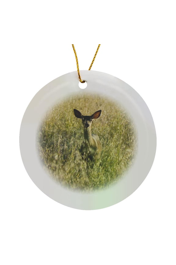 , Mule Deer, Ucsc Campus, Santa Cruz, California - Us05 Pcl0023 - Paul Colangelo, Circle Porcelain Ornament