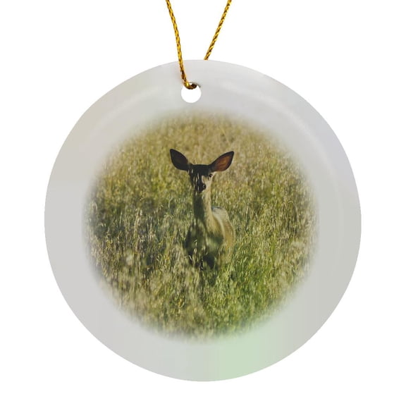 3drose, Mule Deer, Ucsc Campus, Santa Cruz, California - Us05 Pcl0023 - Paul Colangelo, Circle Porcelain Ornament