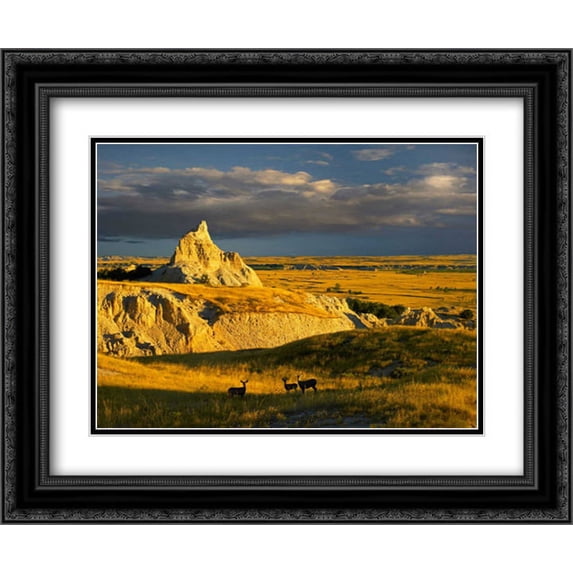 Mule Deer trio in the grasslands of Badlands National Park, South Dakota 2x Matted 24x20 Black Ornate Framed Art Print by Fitzharris, Tim