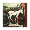 thumbnail image 1 of Mule In Neoclassicism - Canvas, 1 of 25