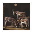thumbnail image 1 of Mule In Neoclassicism - Canvas, 1 of 10
