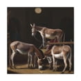 thumbnail image 1 of Mule In Neoclassicism - Canvas, 1 of 10