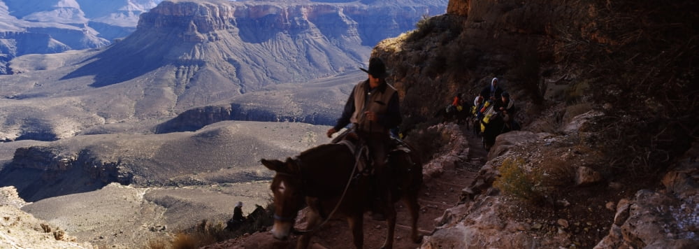 Mule riders and hikers on the trail South Kaibab Trail Grand Canyon National Park Arizona USA Canvas Art - Panoramic Images (36 x 12)