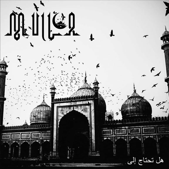 Mulla You Need This (Vinyl Record) 12" Album