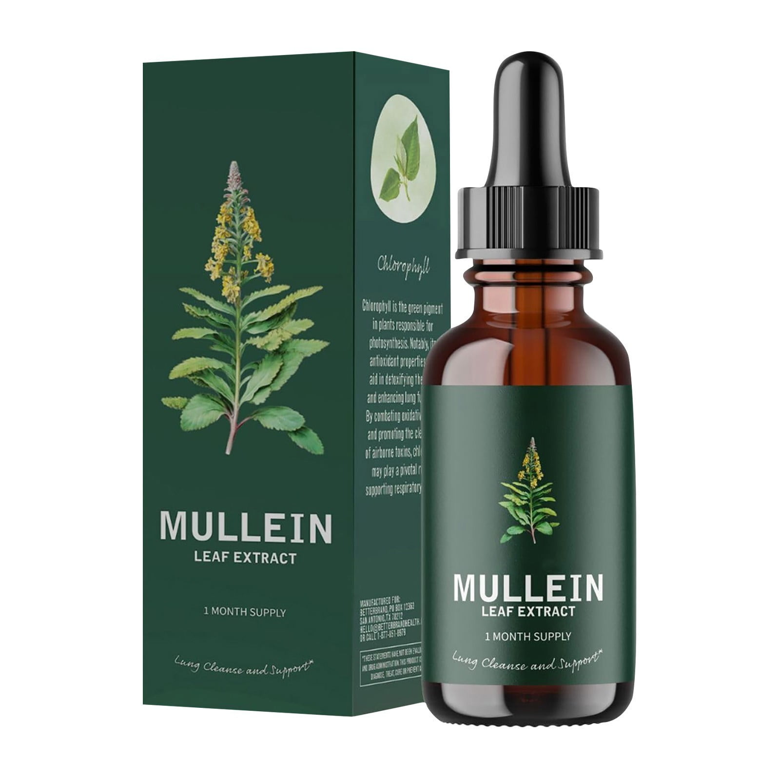 Mullein Leaf Extract Health And Fitness Supplement 10ml