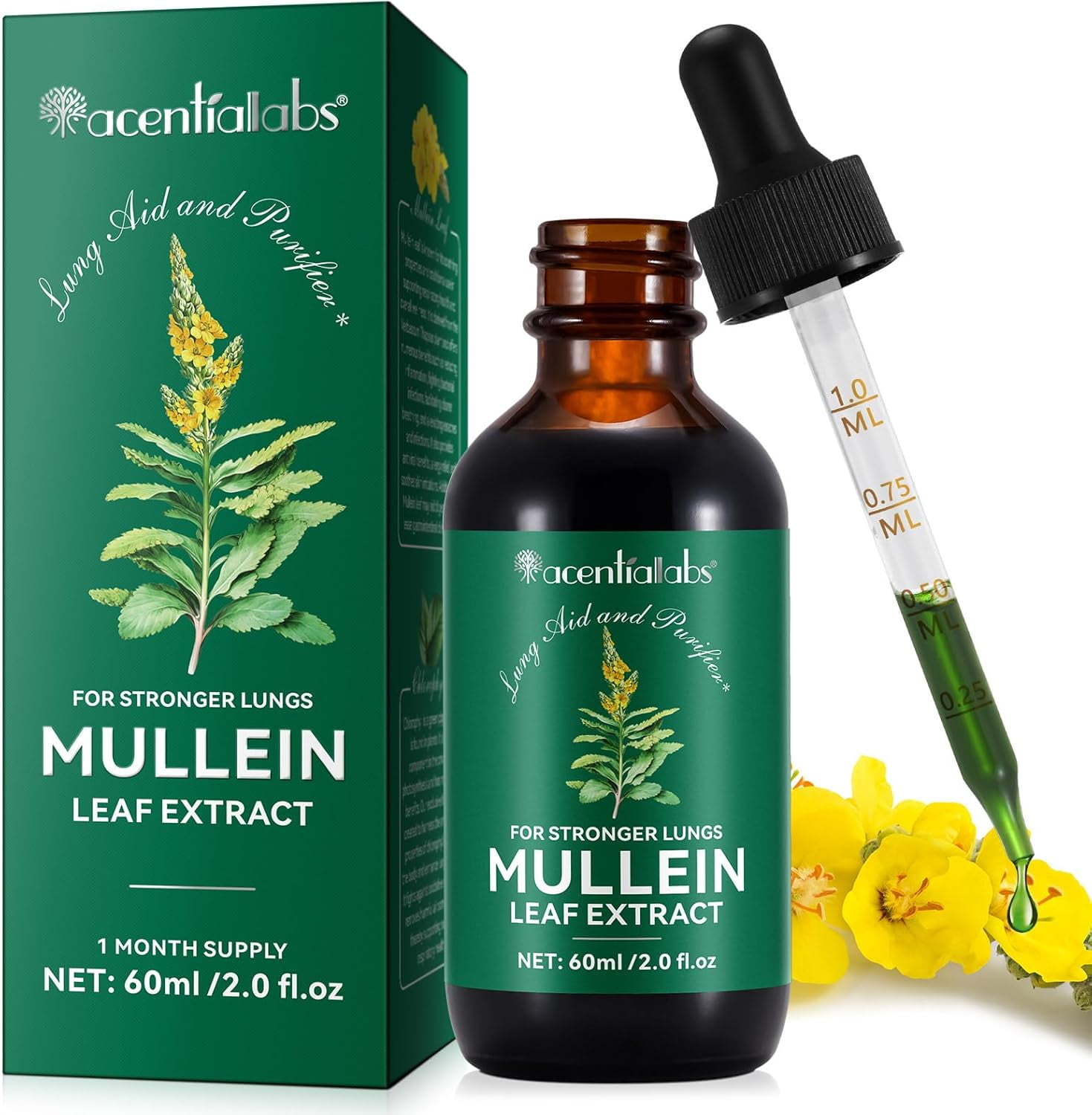 Mullein Leaf Liquid Drops With Chlorophyll 60ml Mullein Leaf Drops with Premium Mullein Leaf Extract