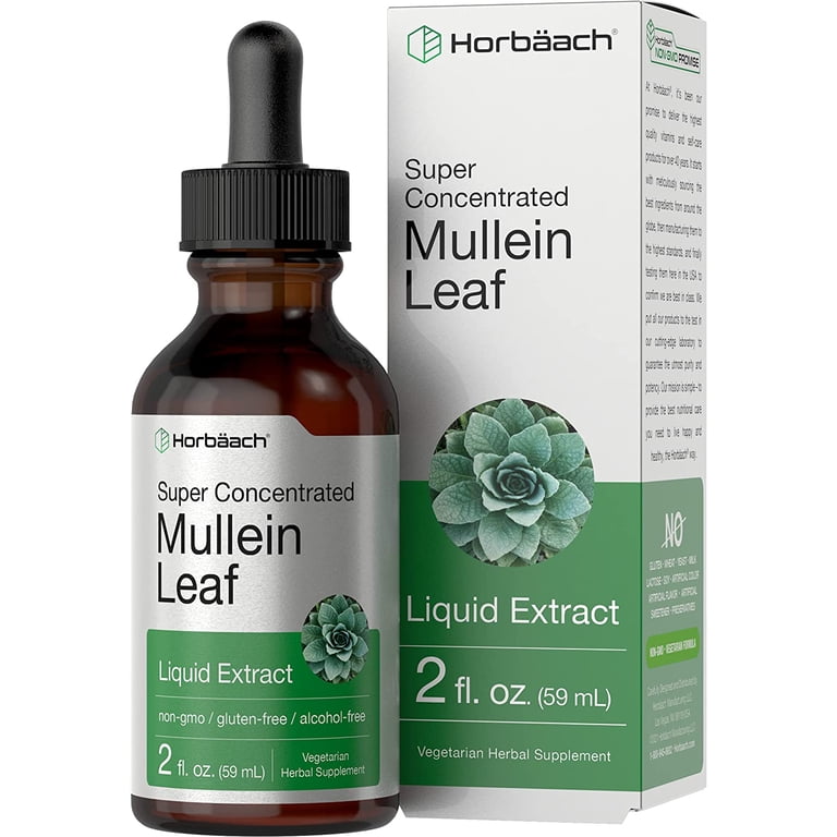 Horbaach Organic Mullein Leaf Tincture Drops | 2 oz | Vegetarian, Alcohol &  Gluten Free